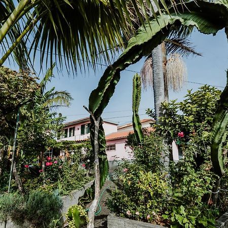 City View Gardens I Funchal  Exteriör bild