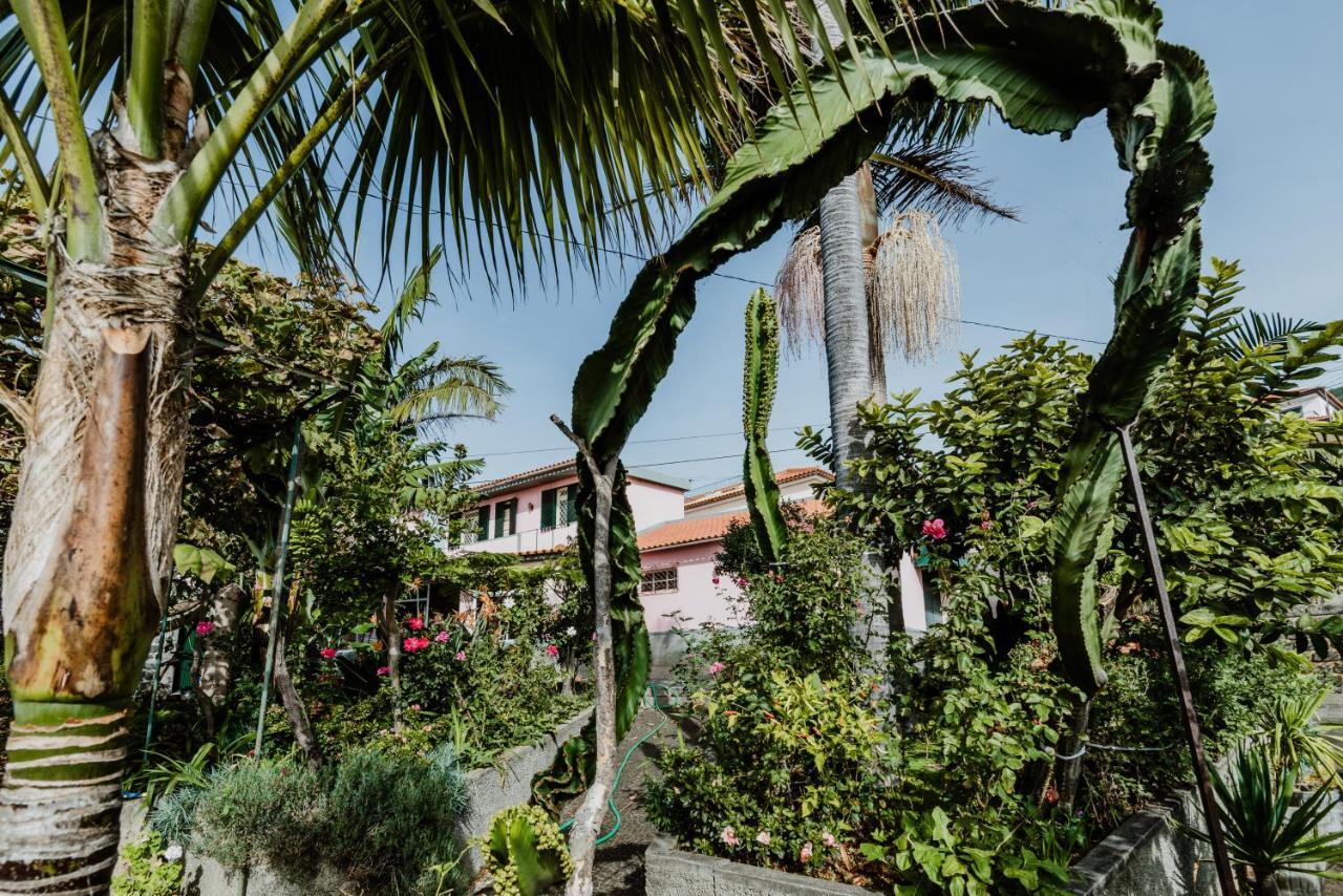 City View Gardens I Funchal  Exteriör bild