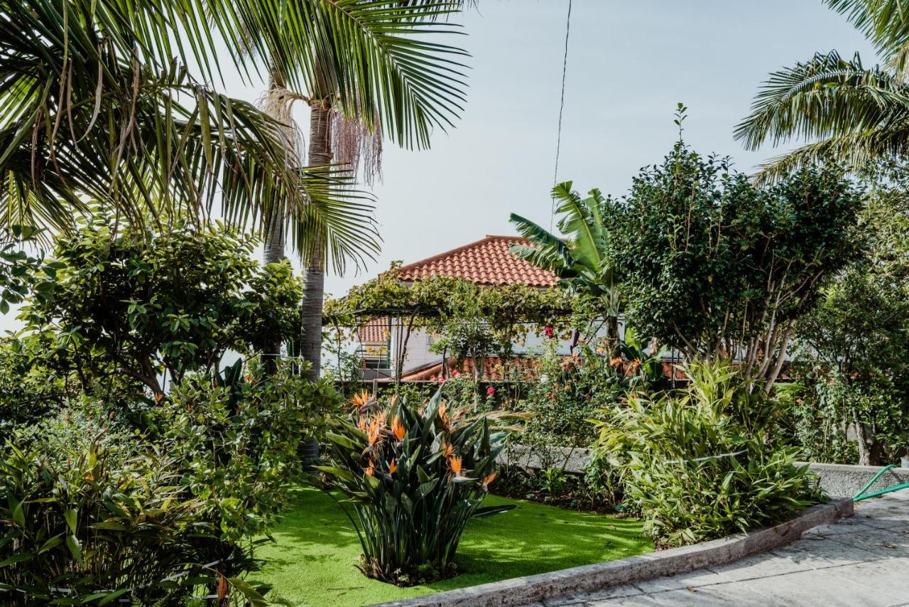 City View Gardens I Funchal  Exteriör bild