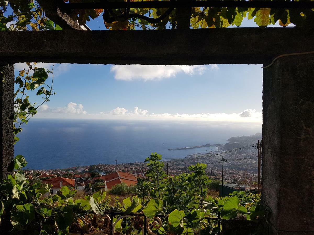 City View Gardens I Funchal  Exteriör bild